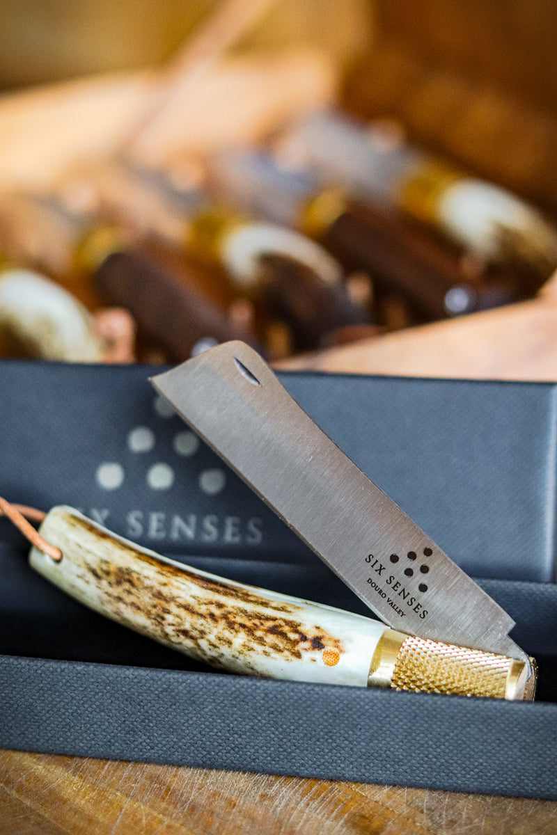 Six Senses Pocket Knife