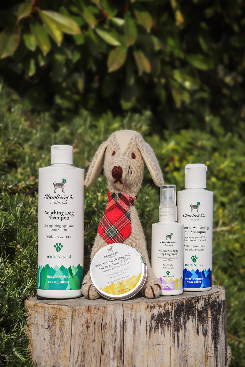 Grooming My Dog Package - Charlie & Co Naturals